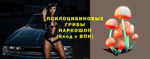 шишки Алзамай