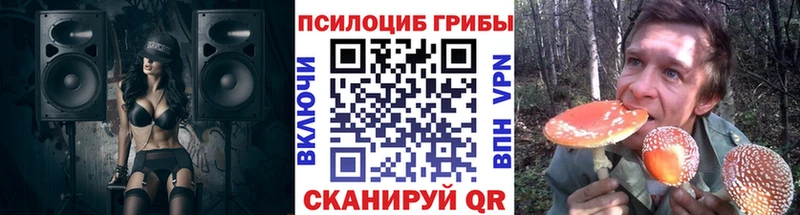 купить наркотики сайты  Иланский  Псилоцибиновые грибы Magic Shrooms 